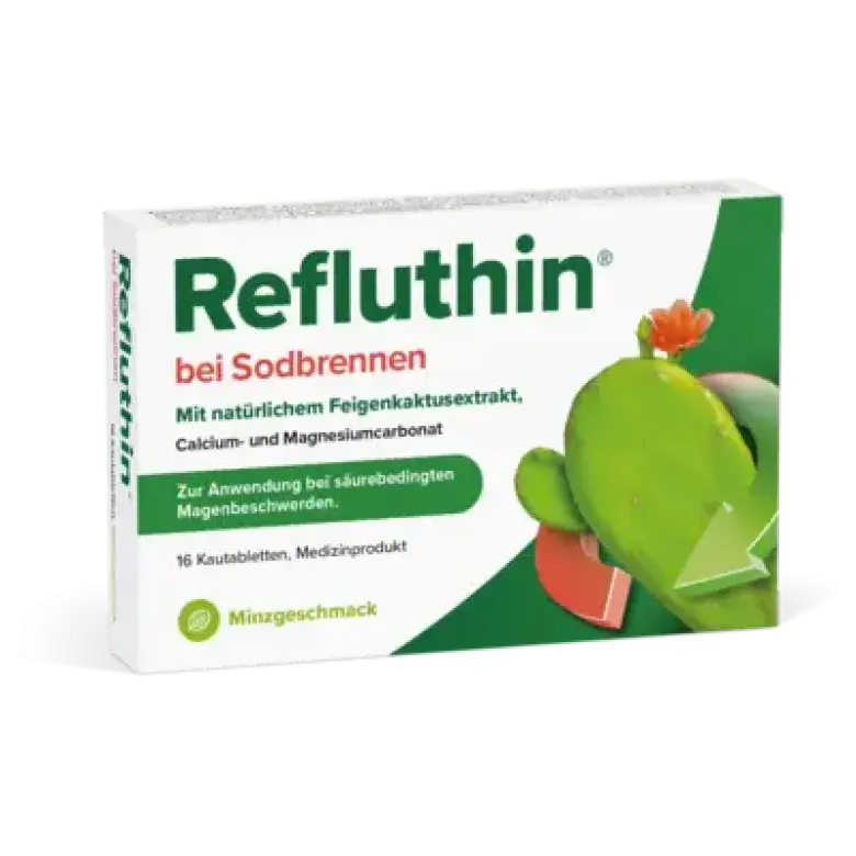Produktabbildung: REFLUTHIN bei Sodbrennen Kautabletten Minze von Dr.Willmar Schwabe GmbH & Co.KG